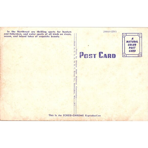 Vintage Ecko-Chrome Postcard Fishermans Paradise Scenic Northwest - Picture 2 of 2